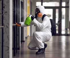 Mold Documentation for Insurance Claims in Combee Settlement, FL